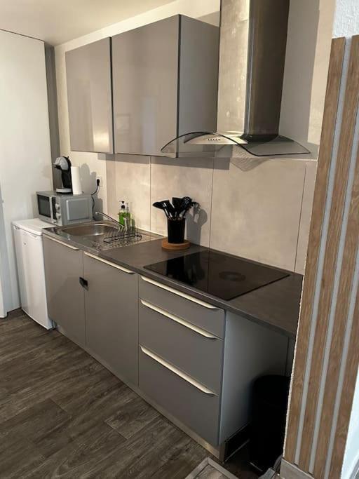 Le Cosy'Ppart - Easylife Apartman Bourgoin-Jallieu Kültér fotó